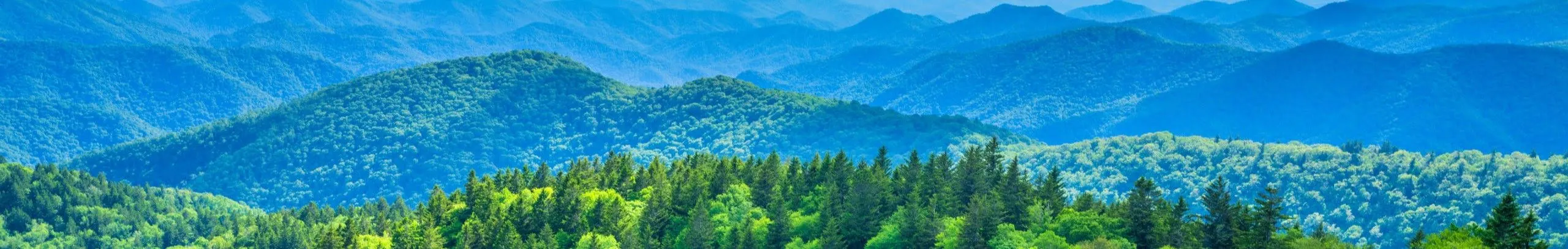 Majestic Mountain View - LeConte